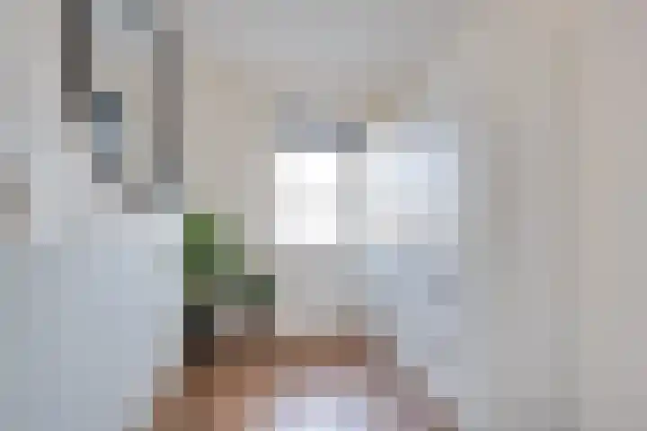 Elstar 15 Assen thumbnail 22