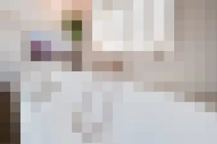 Elstar 15 Assen thumbnail 24