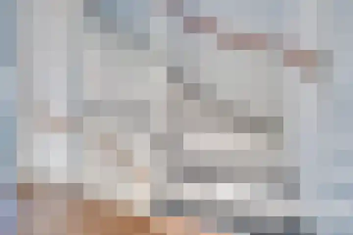 Elstar 15 Assen thumbnail 27