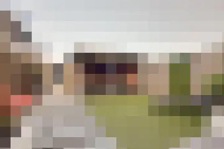 Elstar 15 Assen thumbnail 32