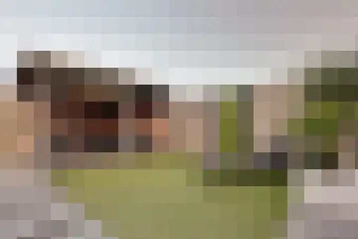 Elstar 15 Assen thumbnail 34