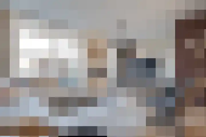 Elstar 15 Assen thumbnail 5