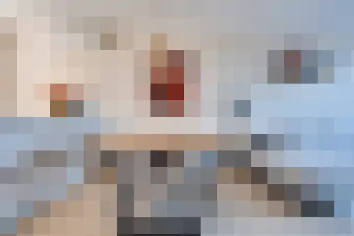 Elstar 15 Assen thumbnail 8