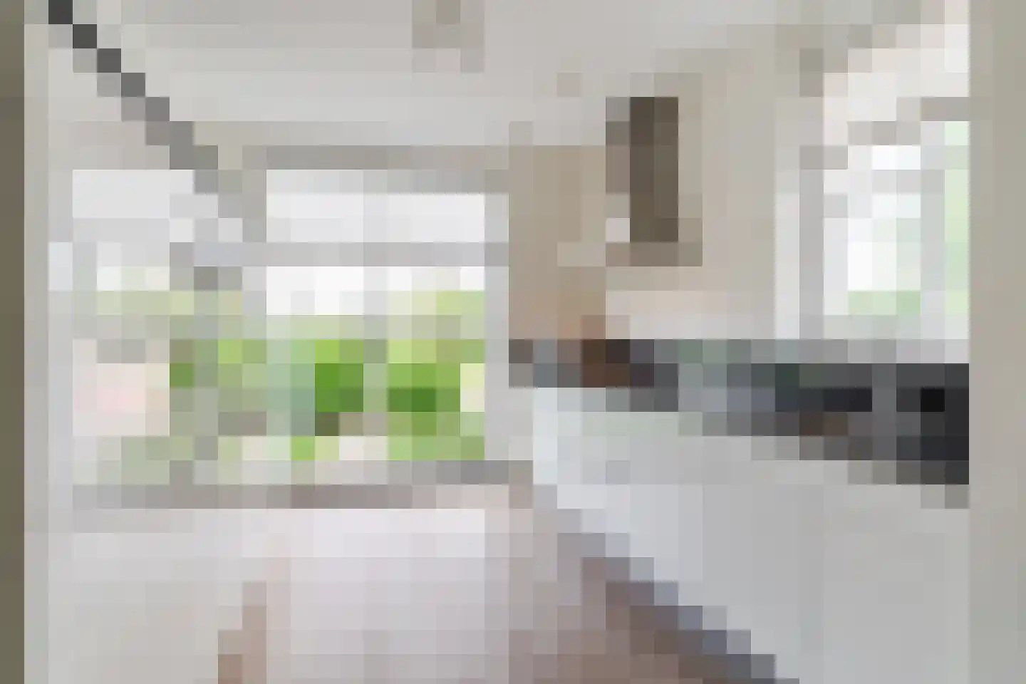 Elstar 18 Berkel-Enschot thumbnail 10