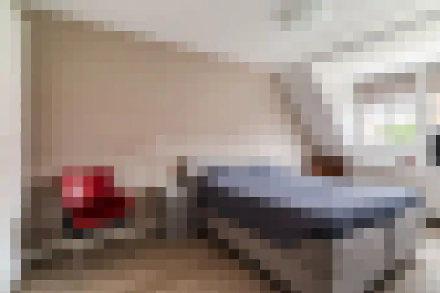 Elstar 18 Berkel-Enschot thumbnail 15