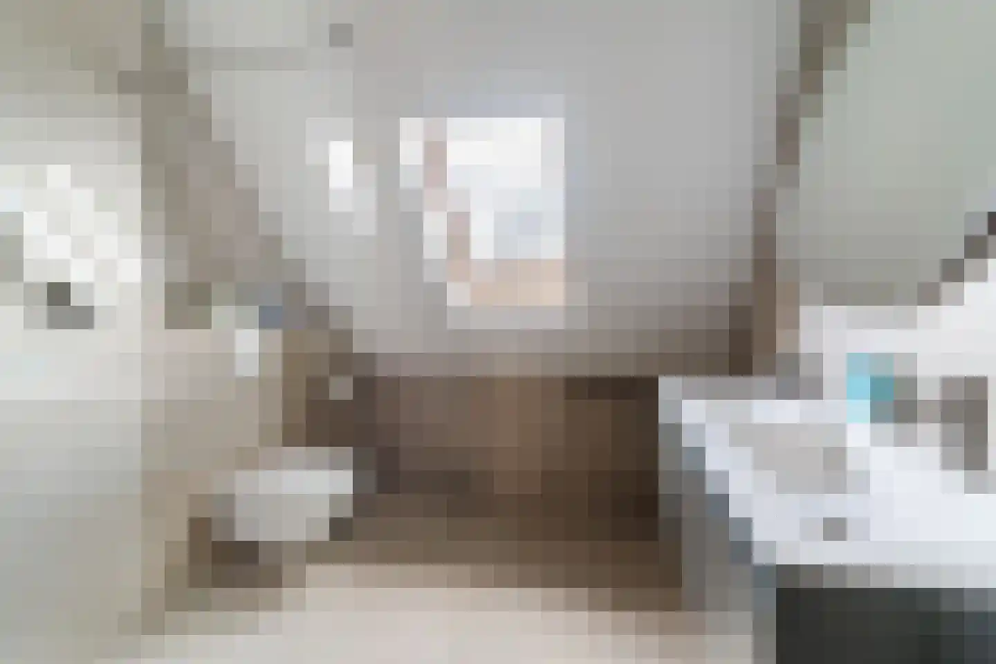 Elstar 18 Berkel-Enschot thumbnail 20
