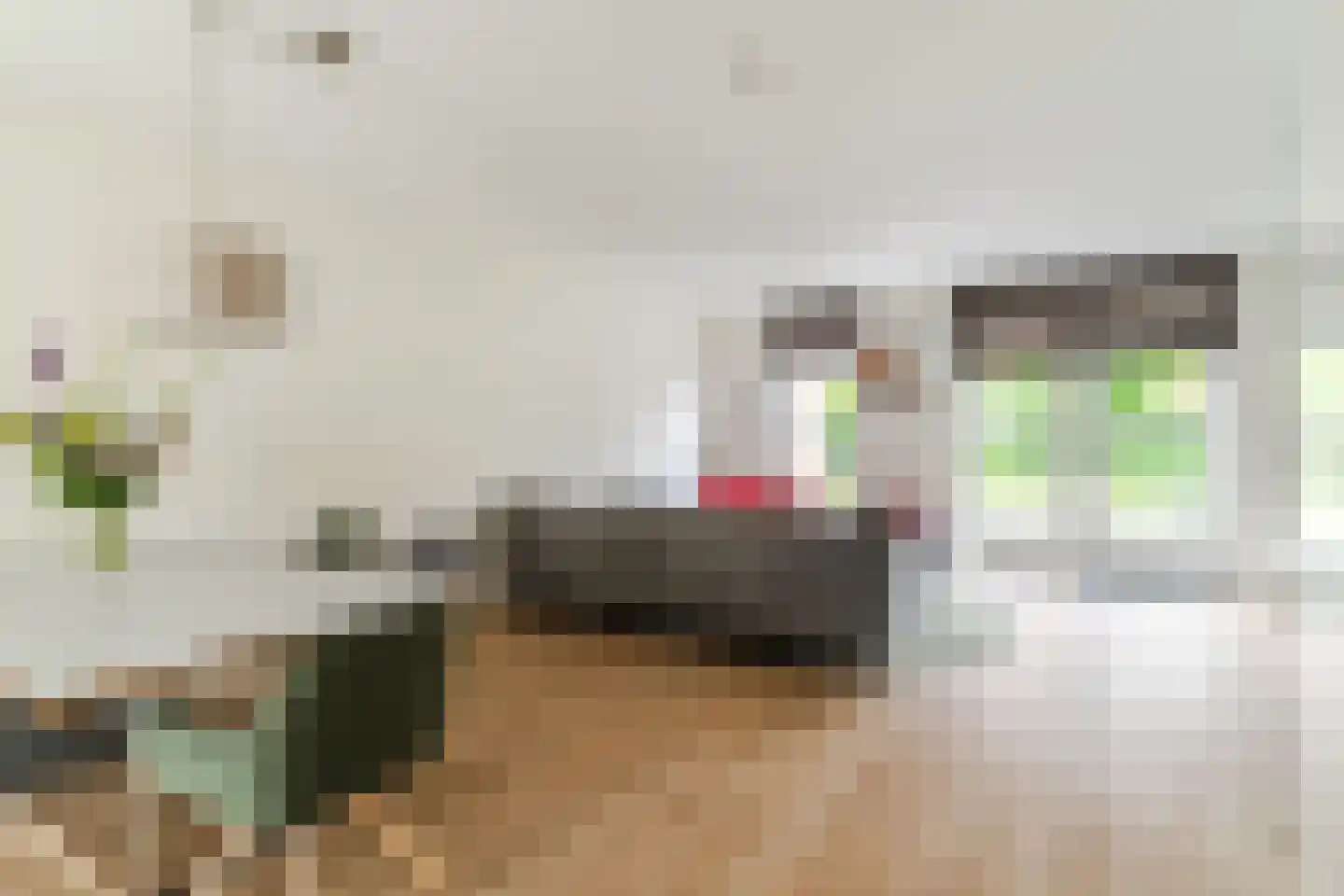 Elstar 18 Berkel-Enschot thumbnail 4