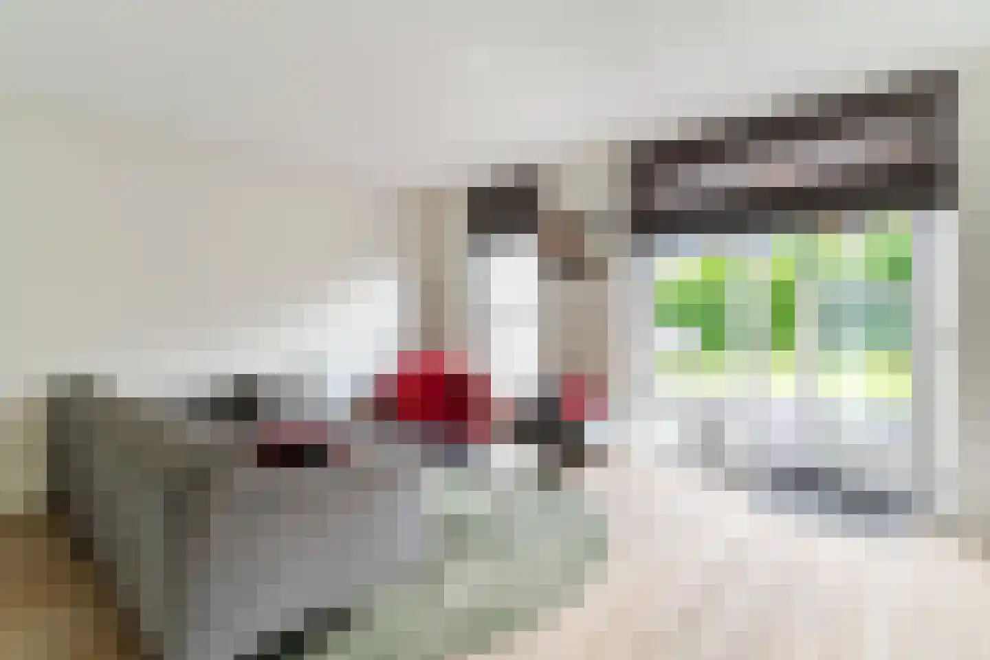 Elstar 18 Berkel-Enschot thumbnail 6