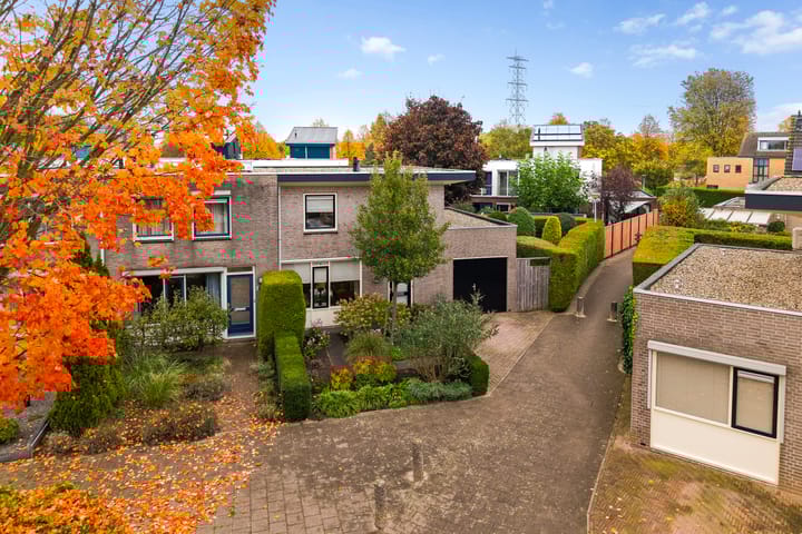 Elstar 19 in Elst foto