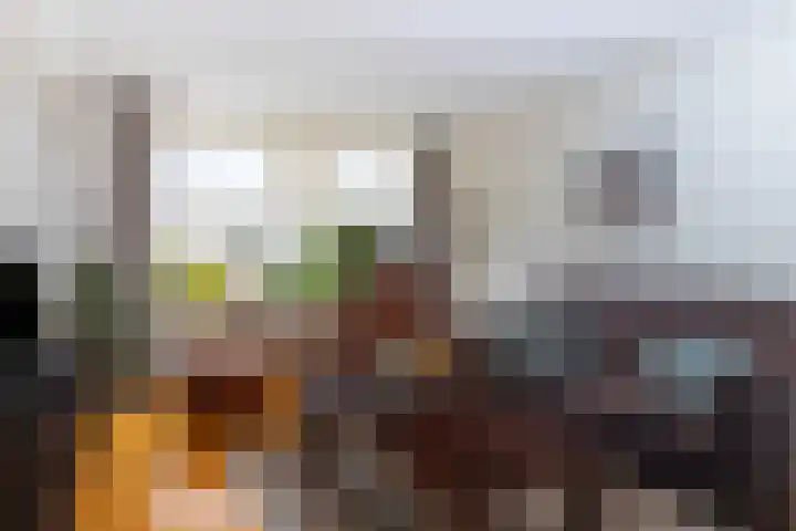 Elstar 19 Elst thumbnail 11