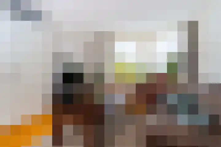 Elstar 19 Elst thumbnail 12