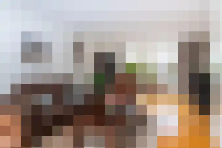 Elstar 19 Elst thumbnail 13