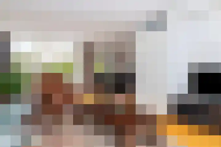 Elstar 19 Elst thumbnail 14