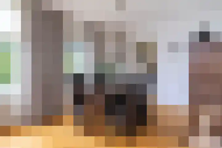 Elstar 19 Elst thumbnail 15