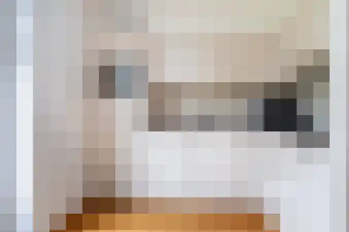 Elstar 19 Elst thumbnail 17
