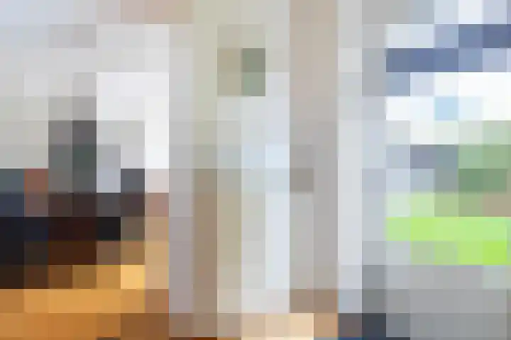 Elstar 19 Elst thumbnail 19