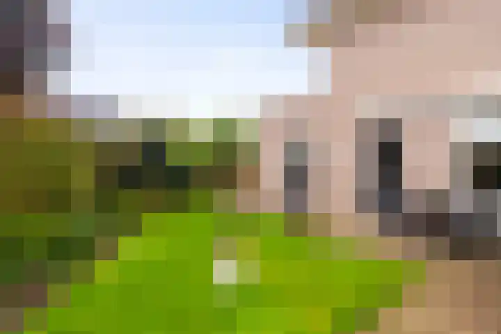 Elstar 19 Elst thumbnail 21