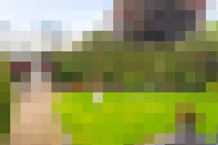 Elstar 19 Elst thumbnail 22