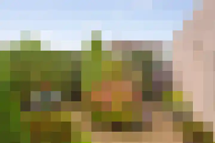 Elstar 19 Elst thumbnail 23