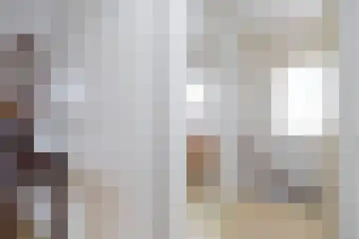 Elstar 19 Elst thumbnail 25