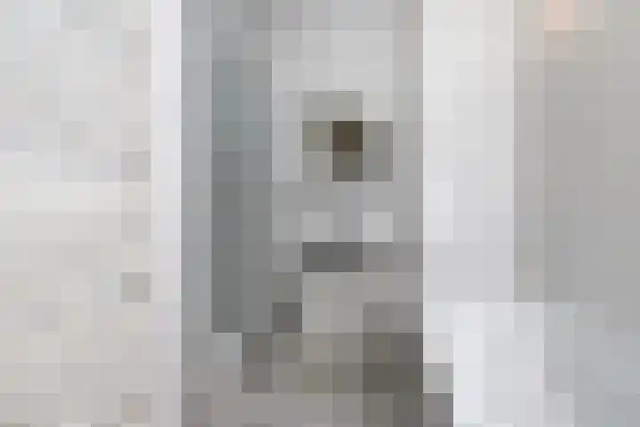 Elstar 19 Elst thumbnail 26