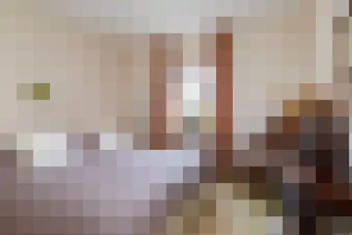 Elstar 19 Elst thumbnail 27
