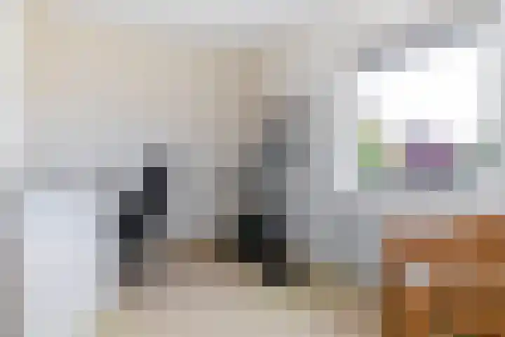 Elstar 19 Elst thumbnail 29