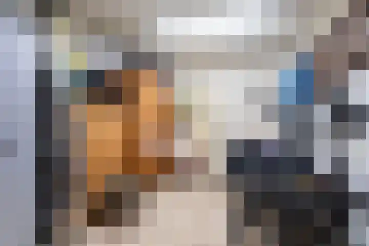 Elstar 19 Elst thumbnail 30