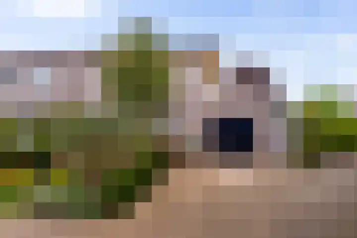 Elstar 19 Elst thumbnail 5