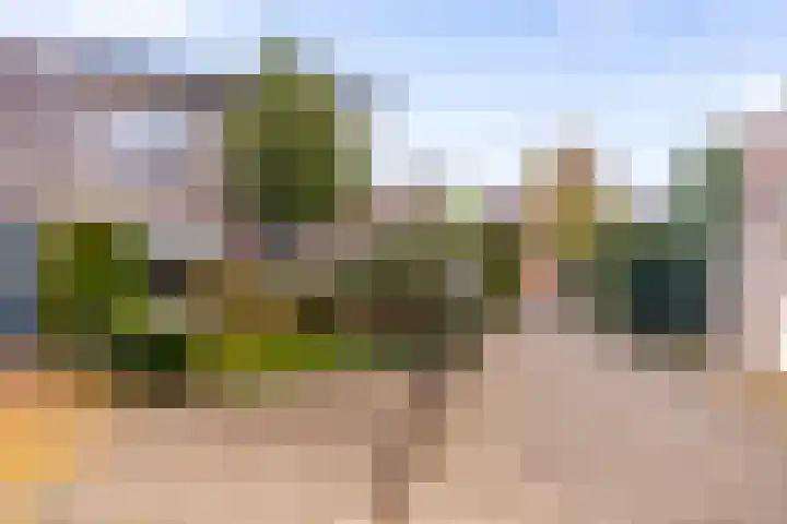 Elstar 19 Elst thumbnail 7