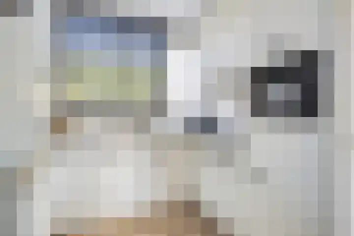 Elstar 23 Elst thumbnail 10