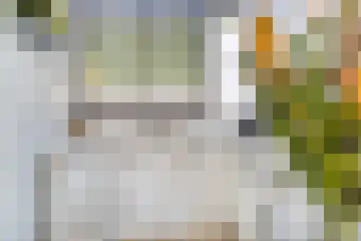 Elstar 23 Elst thumbnail 11