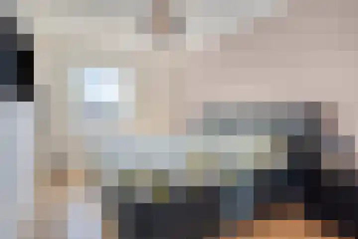Elstar 23 Elst thumbnail 14
