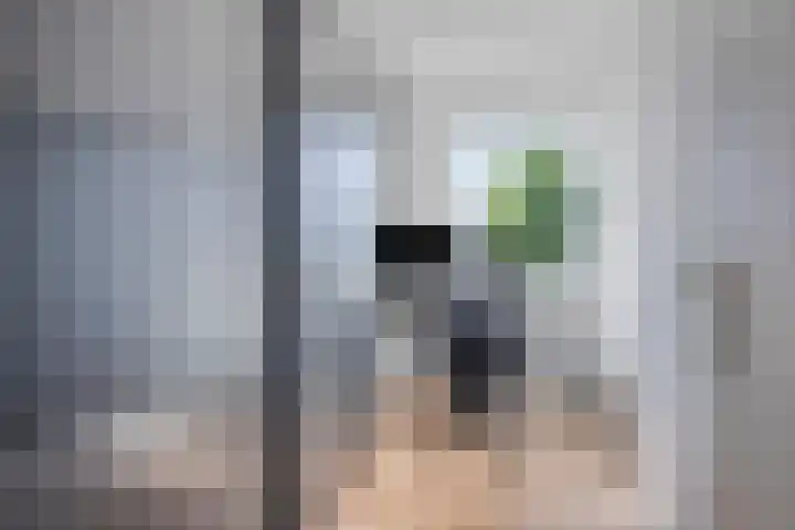 Elstar 23 Elst thumbnail 15