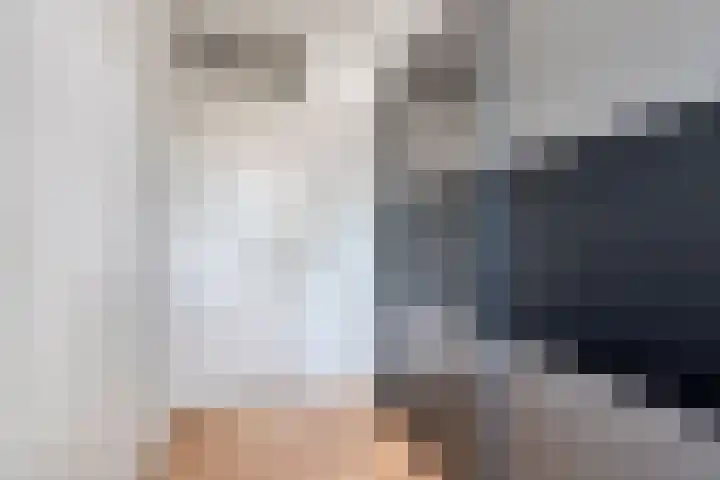 Elstar 23 Elst thumbnail 16