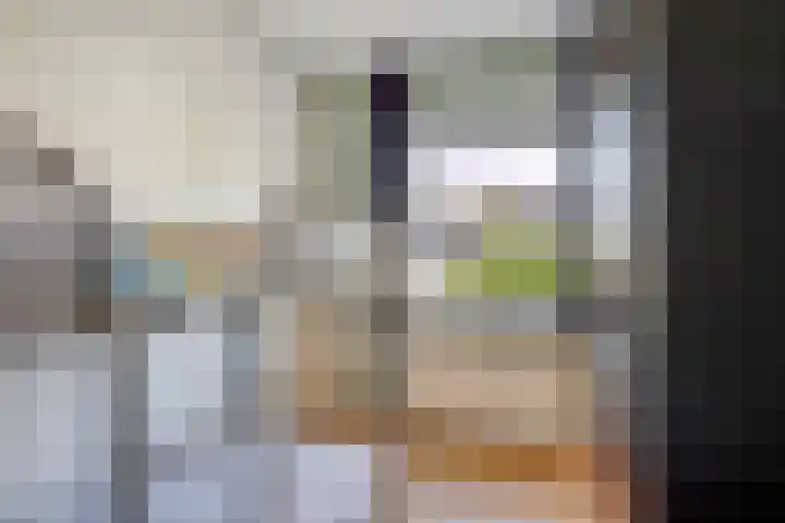 Elstar 23 Elst thumbnail 17