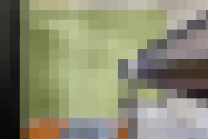 Elstar 23 Elst thumbnail 18
