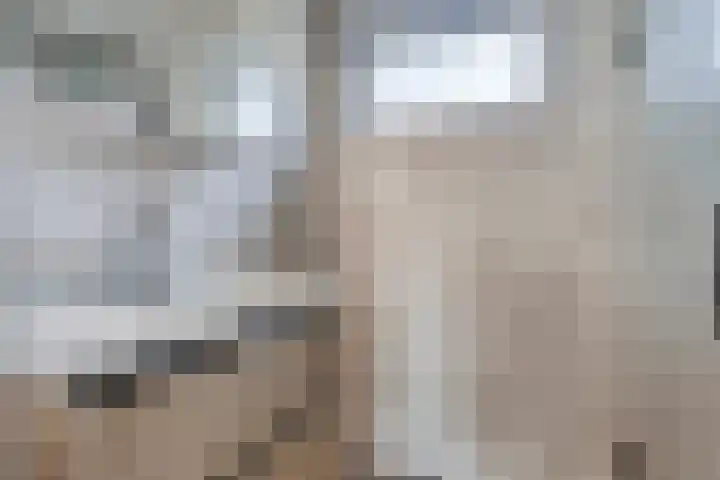 Elstar 23 Elst thumbnail 19