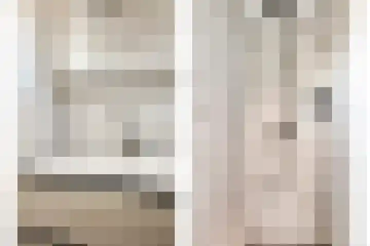 Elstar 23 Elst thumbnail 20