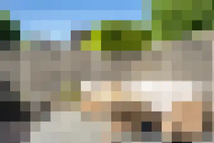 Elstar 23 Elst thumbnail 22