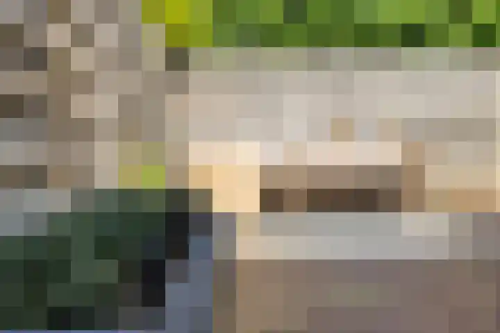 Elstar 23 Elst thumbnail 23