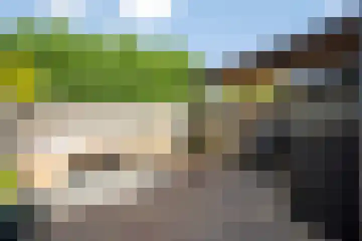 Elstar 23 Elst thumbnail 24