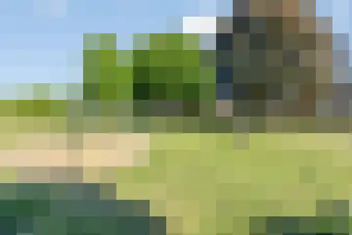 Elstar 23 Elst thumbnail 25
