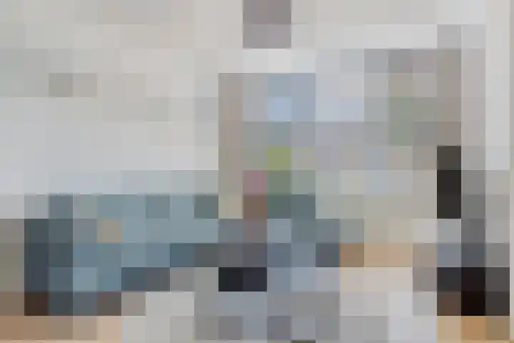 Elstar 23 Elst thumbnail 5