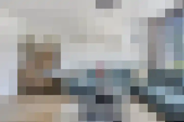 Elstar 23 Elst thumbnail 6