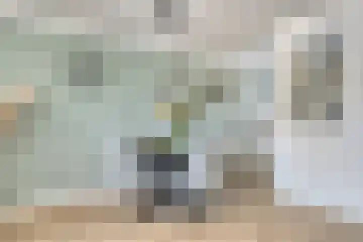 Elstar 23 Elst thumbnail 7