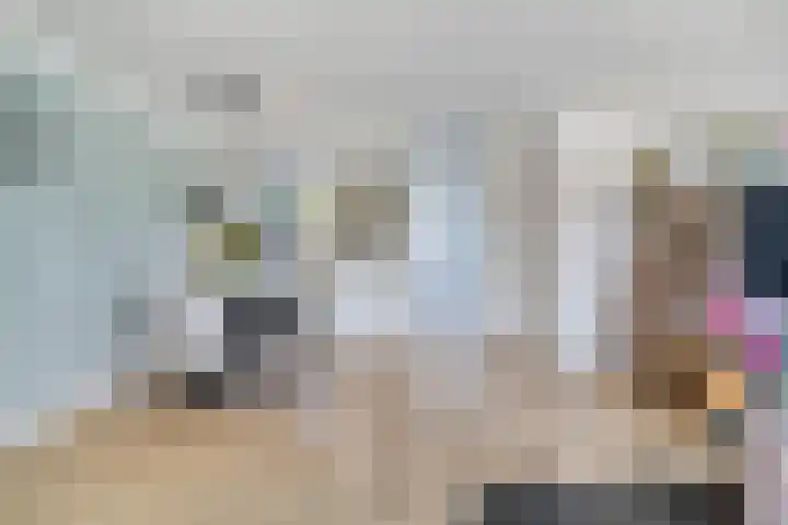 Elstar 23 Elst thumbnail 8