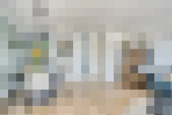 Elstar 23 Elst thumbnail 9