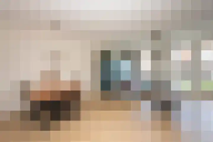 Elstar 24 Berkel-Enschot thumbnail 12