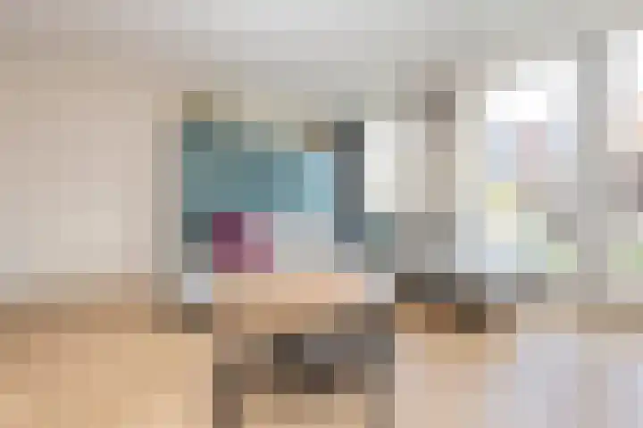 Elstar 24 Berkel-Enschot thumbnail 14
